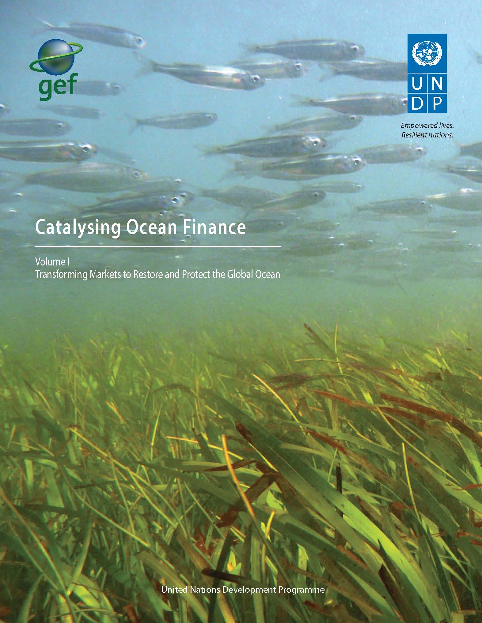 Pages from Catalysing-Ocean-Finance-Vol-I.jpg